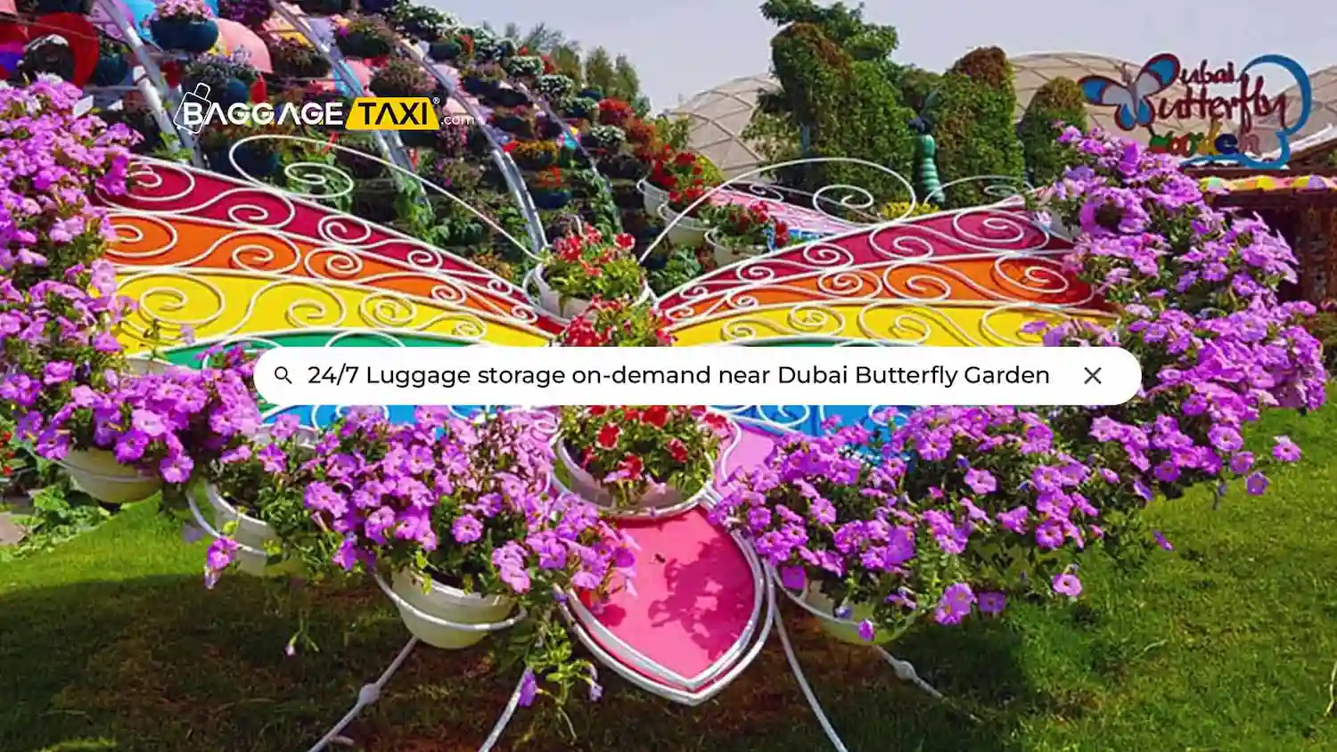 dubai-butterfly-garden blog Cover